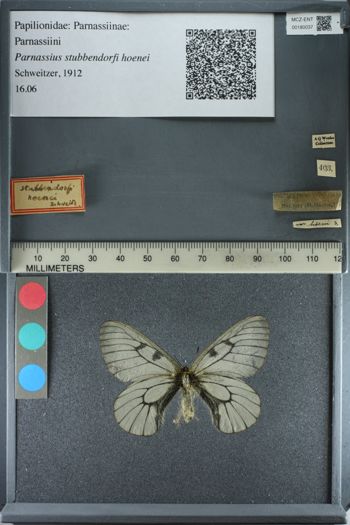 Media type: image;   Entomology 180037